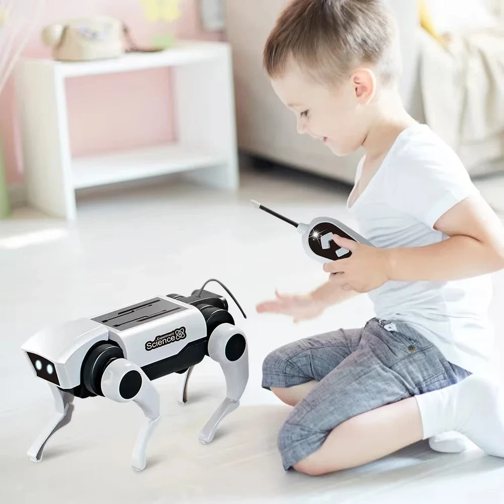 Smart DIY Robot Dog Toy for Kids